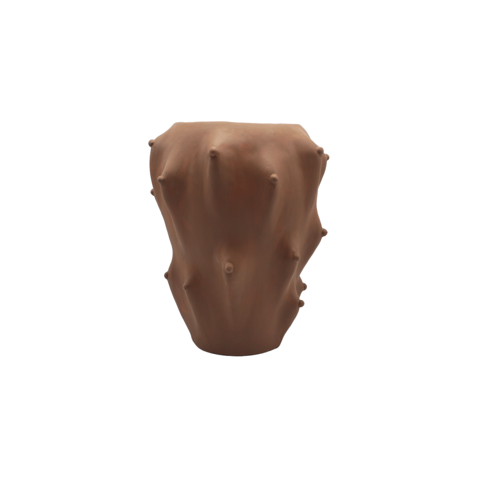 PUNTOLU VAZO